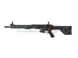 ICS M4 CXP MARS DMR