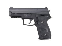 WE P229R