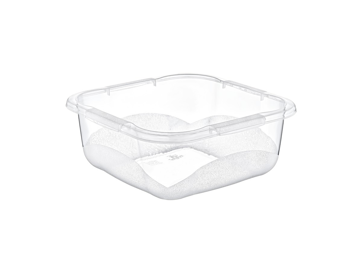 Castron Elitt patrat ak329 nr 3