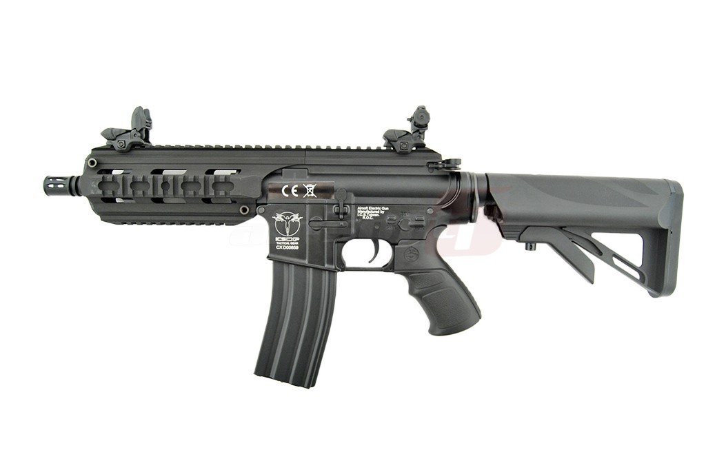 ICS M4 CXP16